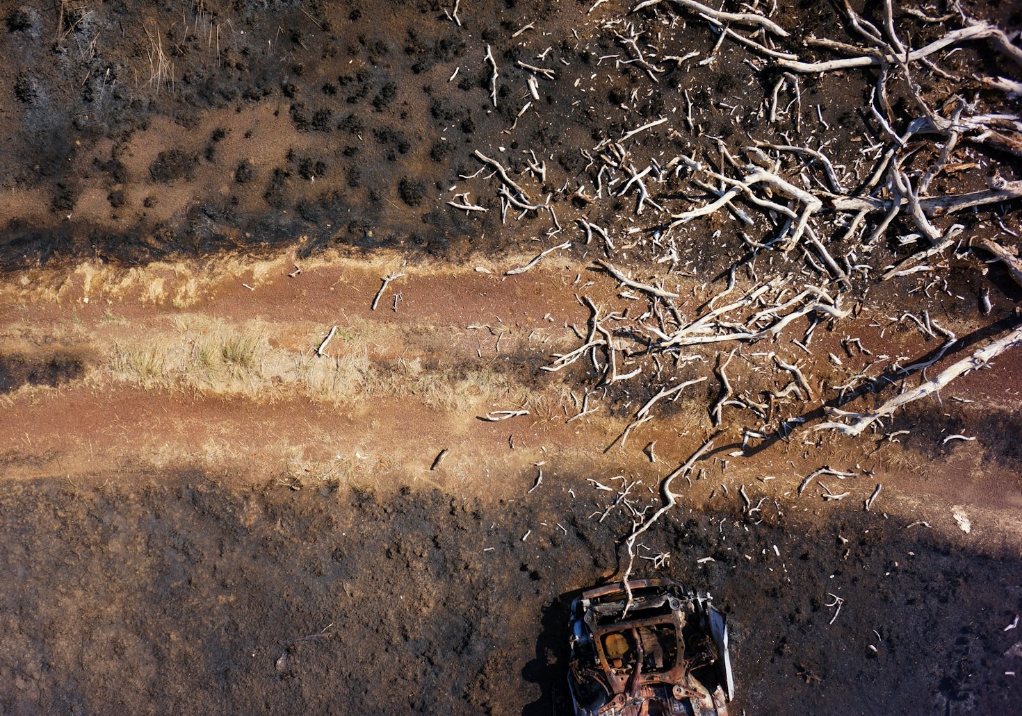 The Role of Geospatial Data in Modern Businesses