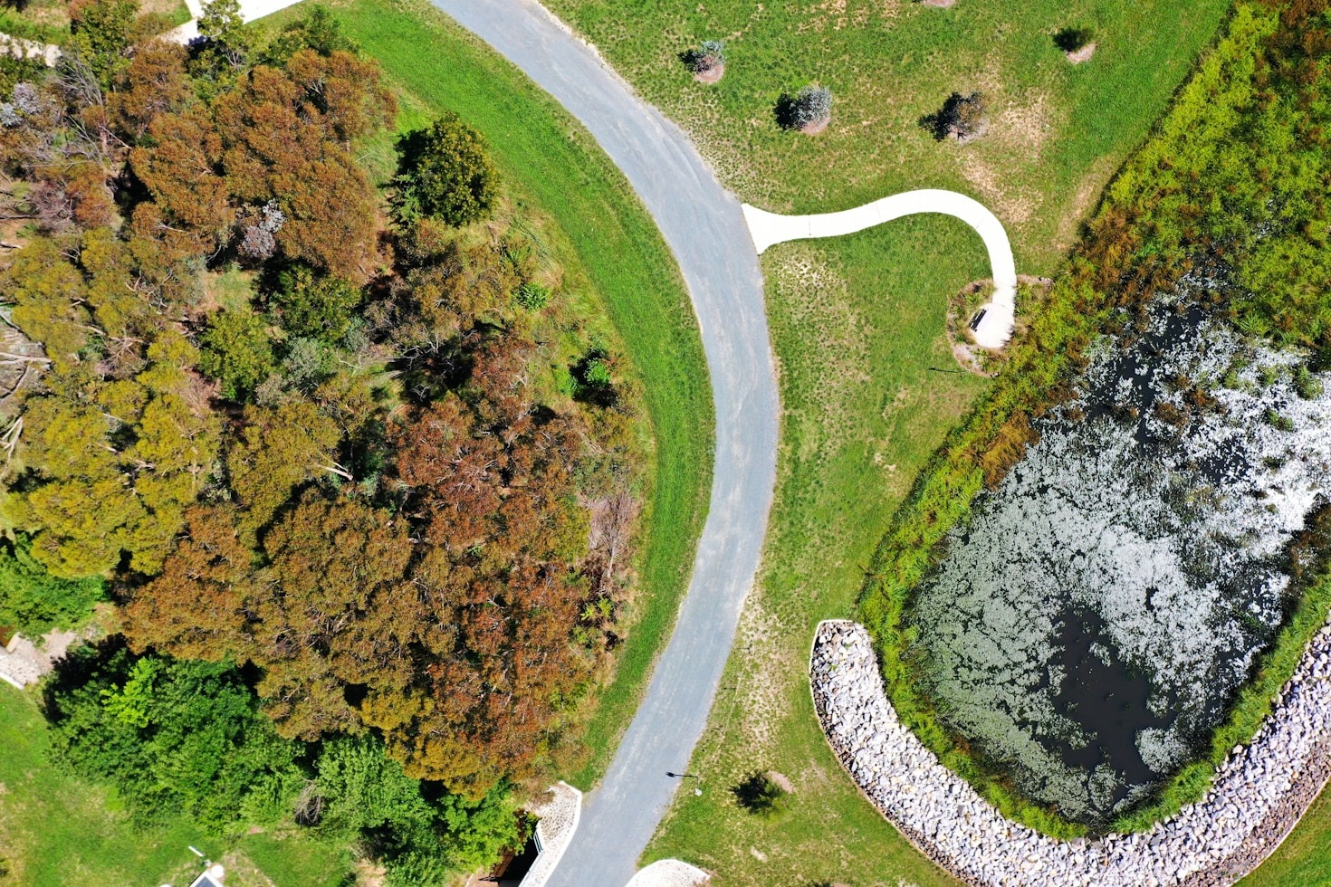 Top Use Cases for Advanced Drone Mapping Services